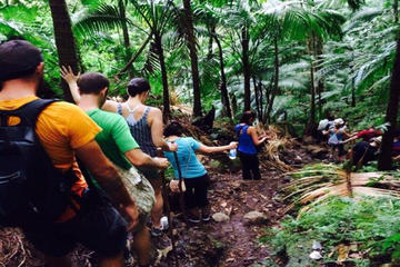 Hiking Mount Liamuiga Volcano in St Kitts