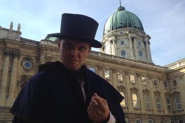 Budapest Walking Tour: Crime and History in Buda Castle