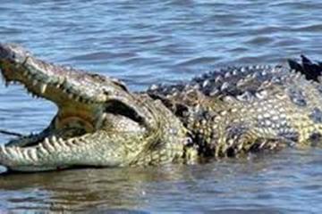 Lake Nasser Fishing Safari Trip with Lunch Included
