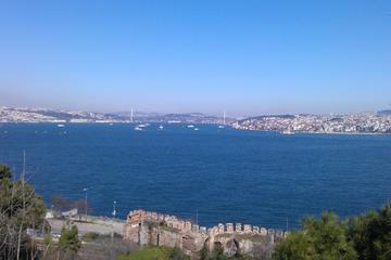 Bosphorus Cruise from Istanbul: Galata Bridge, Golden Horn, Grand Bazaar