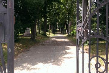 Zagreb: Into the Forest Walking Tour