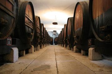 Setúbal and Arrábida Tour from Lisbon with Wine Tasting