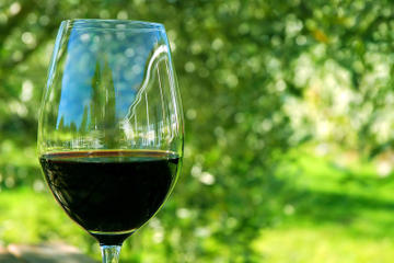 Day Trip to Régua with Food, Wine Estate Visit and Tasting