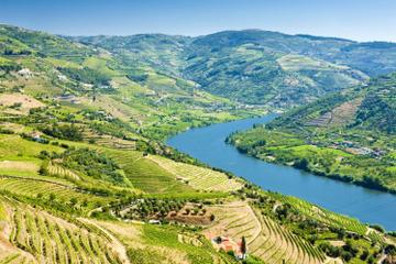 Full-Day Tour in Douro with Lunch