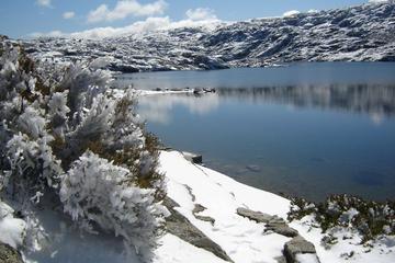 Serra da Estrela - Full Day Tour