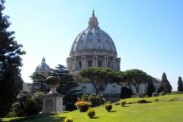 Vatican Skip-the-Line Tour Packages: Basilica Sistine Chapel and Vatican Museums from Rome