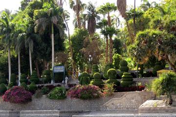 Botanic Gardens and Botanical museum excursion by felucca from Aswan