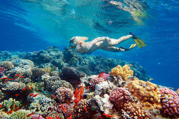 Egypt Family Holiday for Solo Parents