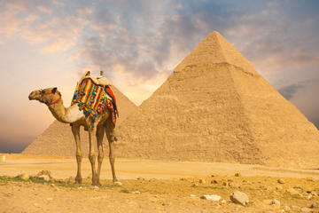 Egypt Family Holiday - Fun & Discovery