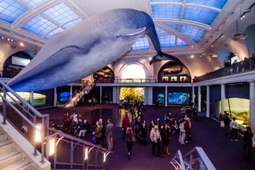 Renegade Tour of the American Museum of Natural History
