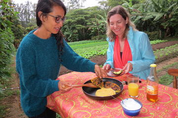 Authentic Costa Rican Cooking Demonstration with Locals on Their Organic Farm