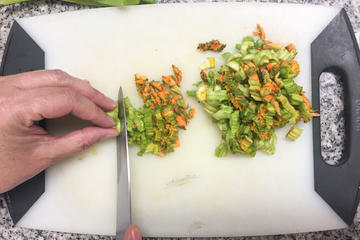 Authentic Mexican Hands-On Home Cooking With a Local in Mexico City