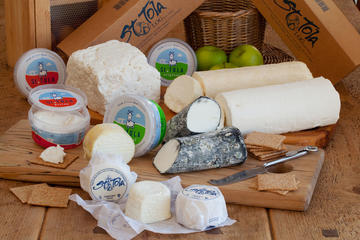 Enjoy an Award-Winning Goat Cheese Tasting and Goat Farm Tour in Ennistymon