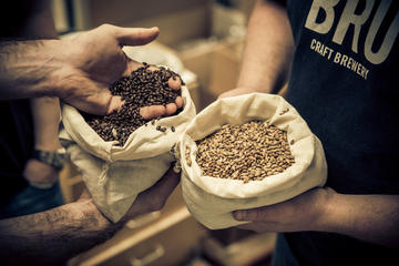 Private Beer Brewing Class and Traditional Pub Lunch with a Local Master Brewer