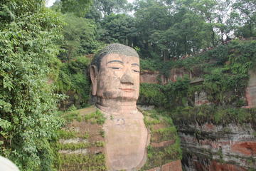 2 Days Private Chengdu Tour: Leshan Giant Buddha and Chengdu Research Base of Giant Panda-No Shopping Stops