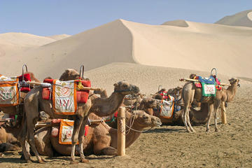 3 Days Private Dunhuang Tour: Mo Gao Caves-Crescent Spring and Singing Sand Dune-No Shopping Stops