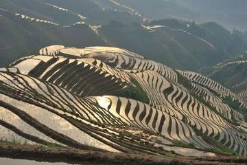 Guilin Longji Rice Terrace Private Day Tour-No Shopping Stops