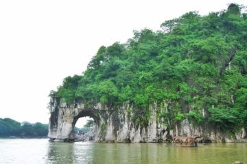 Guilin Small Group Day Trip   Reed Flute Cave-Elephant Trunk Hill and Seven Star Park- No Shopping Stops