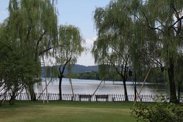 Private Day Tour to Hangzhou from Shanghai:  West Lake-Lingyin Temple and Feilai Peak-No Shopping Stops