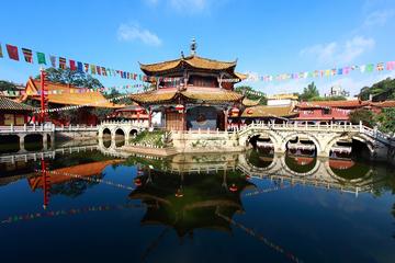 Private Day Tour to Kunming Stone Forest-Bird-Flower Market-No Shopping Stops