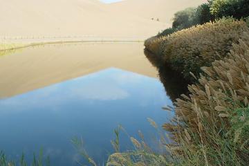Private Dunhuang Adventure Full-Day Tour: Mo Gao Caves-Crescent Spring and Singing Sand Dune