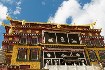 Small Group Day Tour to Shangri-la of Max 7 Travelers Songzanglin Monastery-Old Town of Shangri-la-Pudacuo National Park-No Shopping Stops