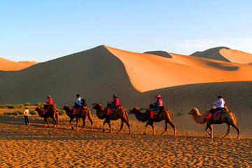 Small Group Dunhuang Day Tour including Camel Ride, Mo Gao Caves, Crescent Spring and Singing Sand Dunes