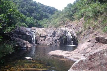 Hong Kong Nature Tour: Ponds and Waterfalls