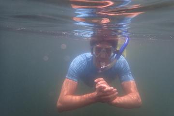 Snorkeling Adventure at Sharp Island