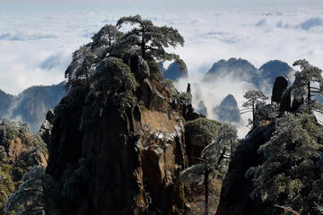 2-Day Private Trip to Huangshan and Hongcun from Shanghai with Accommodation