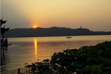 Private Hangzhou Day Trip from Shanghai by Bullet Train