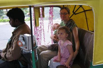 Delhi Execursion With TUK TUK