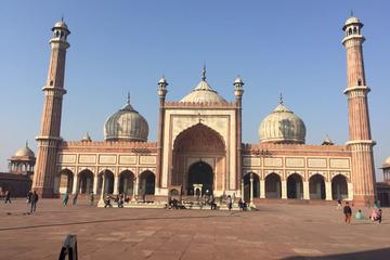 Delhi Sight Seen Tour