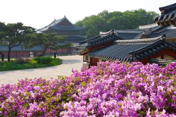 Small-Group Afternoon Seoul Tour