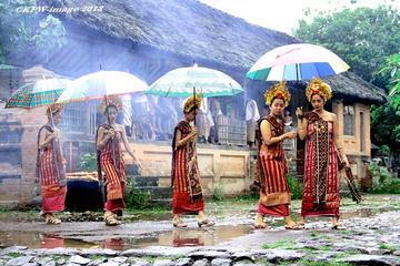 Private Full Day North Bali Tour - Kintamani Tour