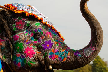 Private Jaipur Sightseeing Full-Day Tour