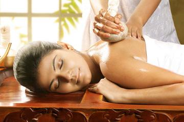 7-Day Spiritual Tour of Yoga and Wellness in Western India