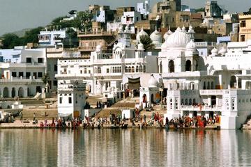 Pushkar Private Day Trip
