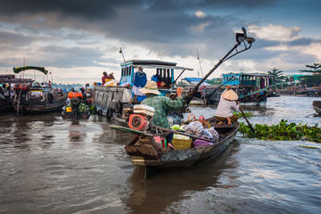 Mekong Delta, Cu Chi Tunnels Combo Tour from Ho Chi Minh City