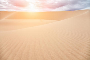 Mui Ne Sunrise Sand Dune Half Day Tour from Muine