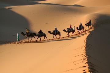 3-Day Desert Tour to Fez: Ouarzazate and Berber Village from Marrakech