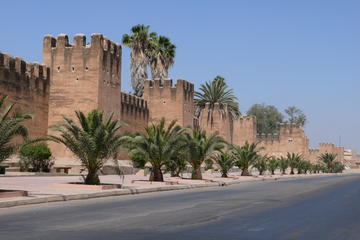 Taroudant & the oasis of Tiout shore excursion