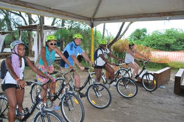 Southern Beaches of Florianópolis Bike Tour