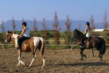 Horse Riding Experience in Nafplio