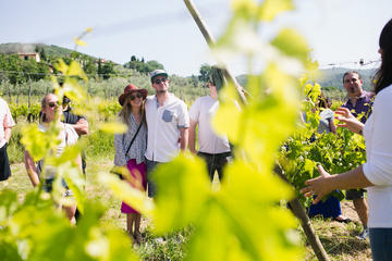 Winery Experience for Two