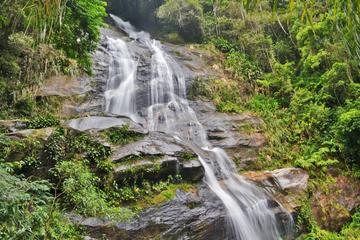 Tijuca National Park Customizable Private Tour in Rio de Janeiro
