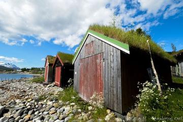 Small-group Arctic Landscapes Sightseeing Tour from Tromso - summer