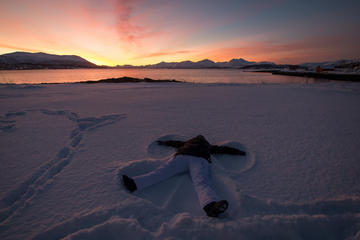 Small-group Arctic Landscapes Sightseeing Tour from Tromso - Winter
