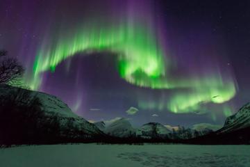 Small-Group Aurora Hunt Northern Lights Tour from Tromso