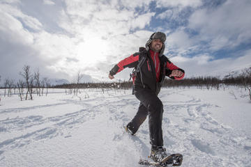 Small-group Snowshoeing Tour from Tromso